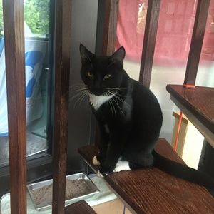 Meet your Posher, Brian